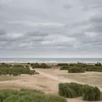 DSC00147