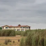 DSC00231