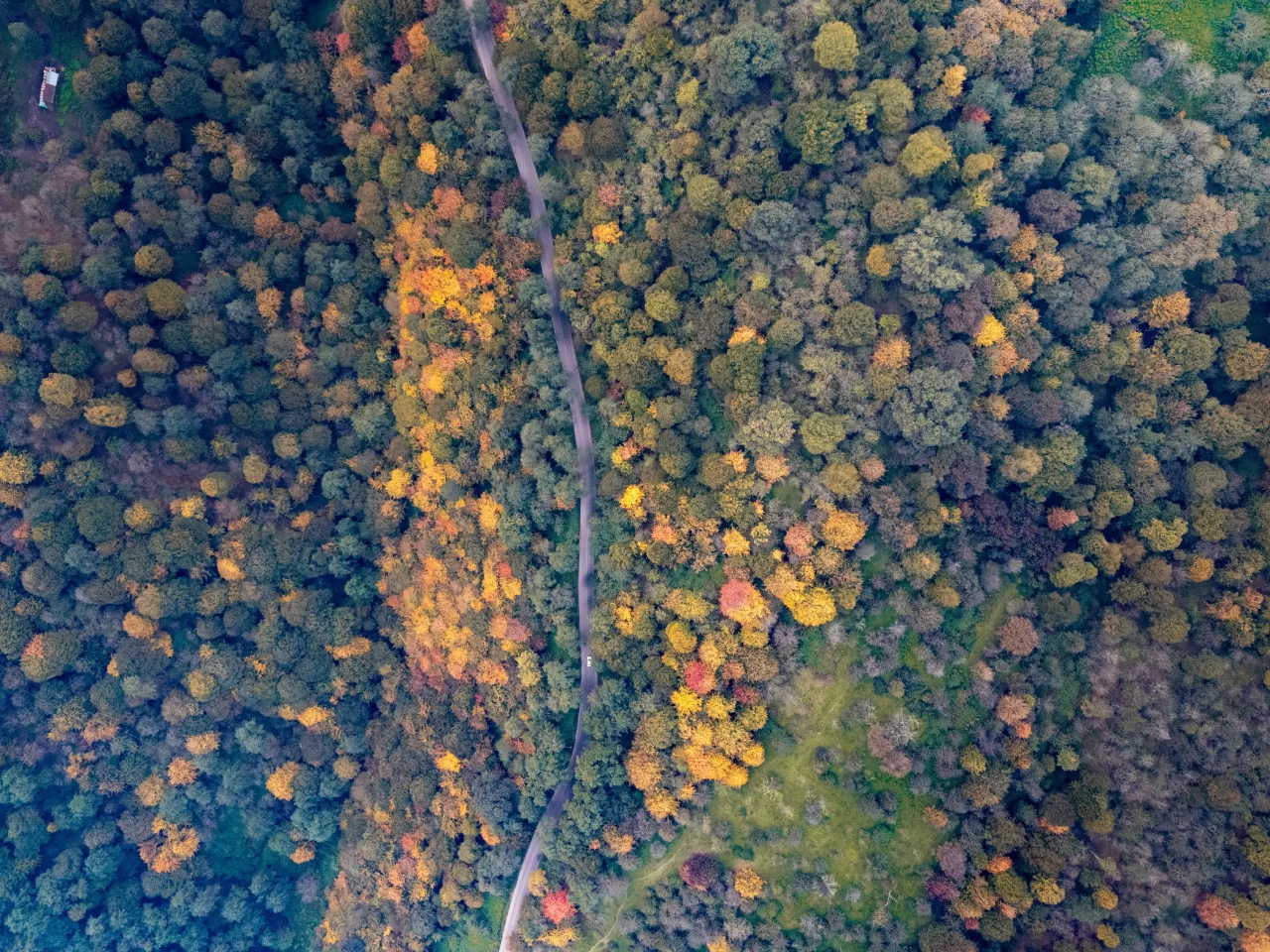 DJI_20251117182026_0098_D