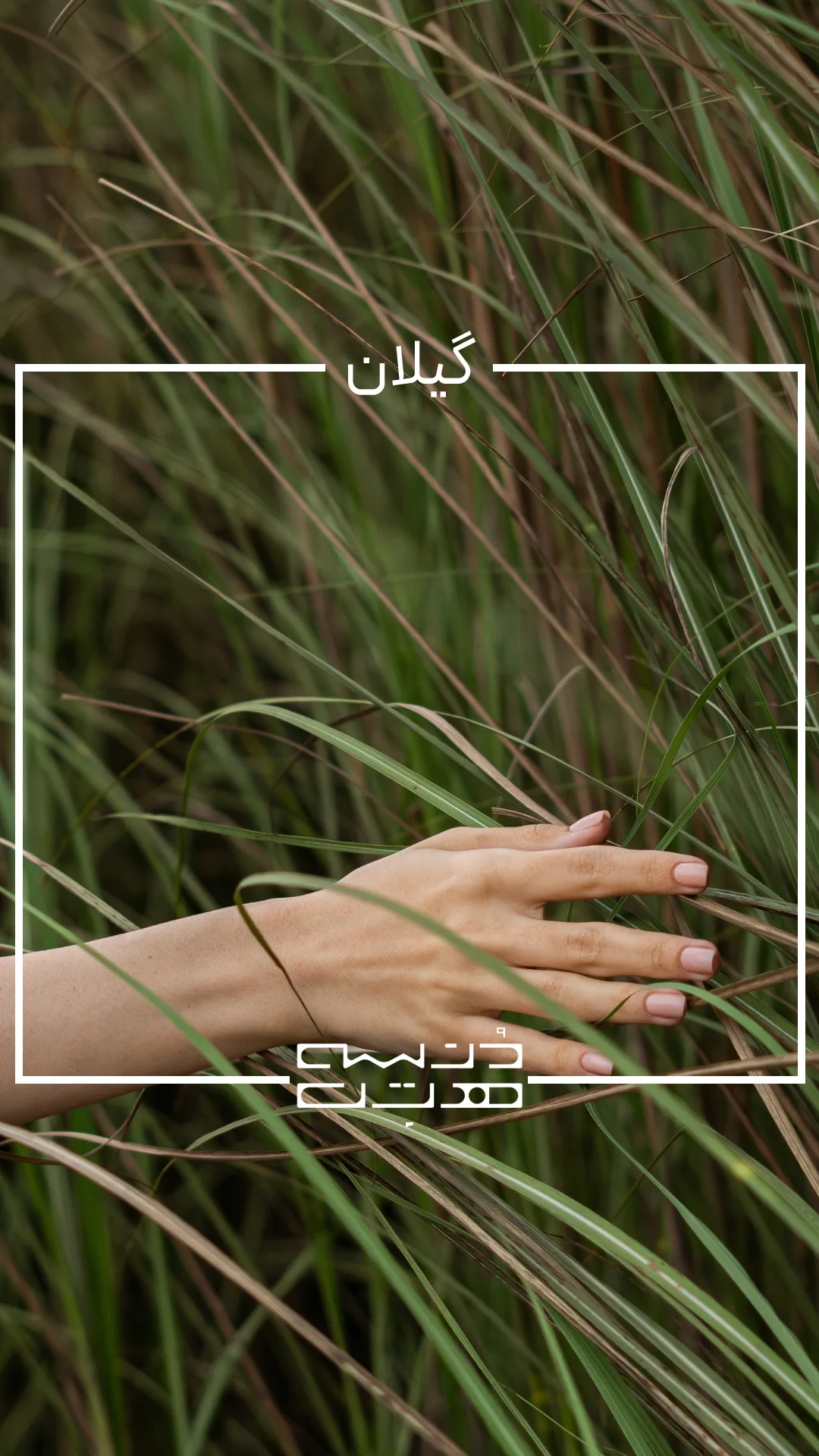 استوری هتل های دنسه_20260808_181347_0000