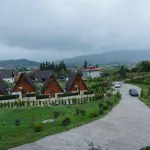 AZS08644+ سایت